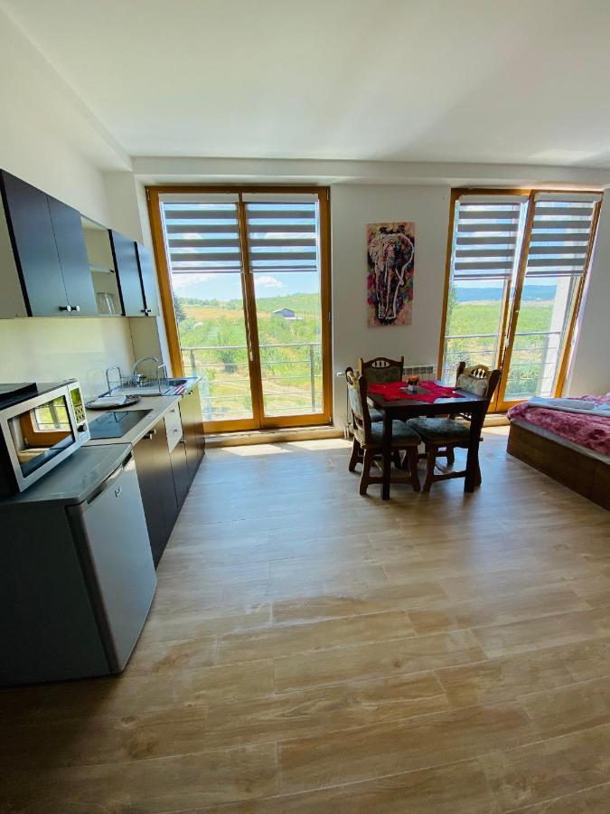 Papa Apartment Berovo